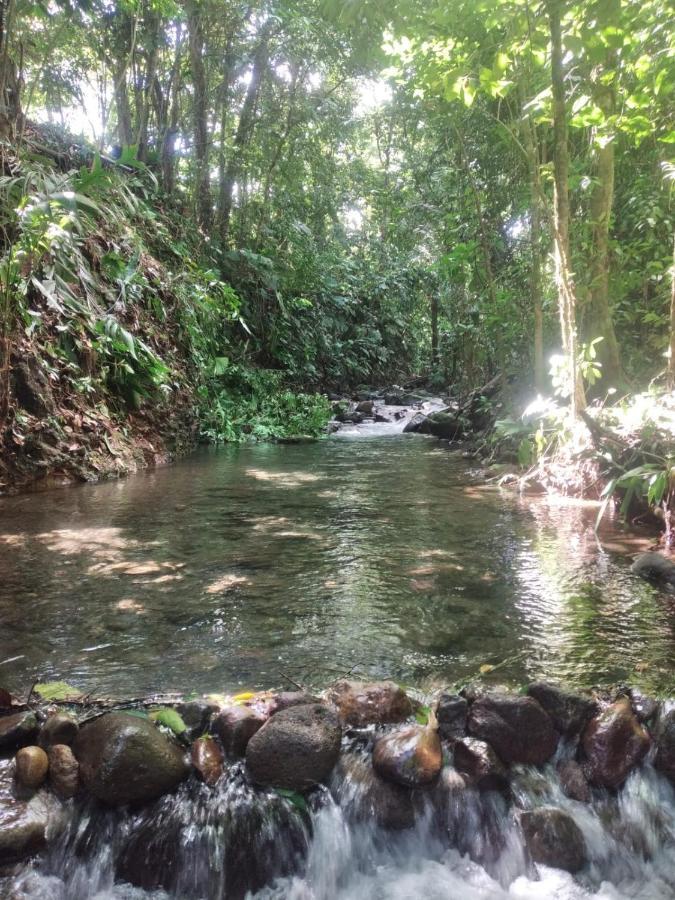 La Fortuna Natural Green Εξωτερικό φωτογραφία