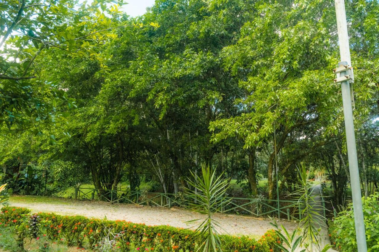 La Fortuna Natural Green Εξωτερικό φωτογραφία